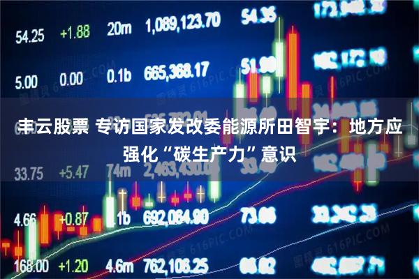 丰云股票 专访国家发改委能源所田智宇：地方应强化“碳生产力”意识