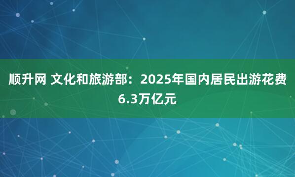 顺升网 文化和旅游部：2025年国内居民出游花费6.3万亿元